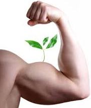 plant on muscle arm 